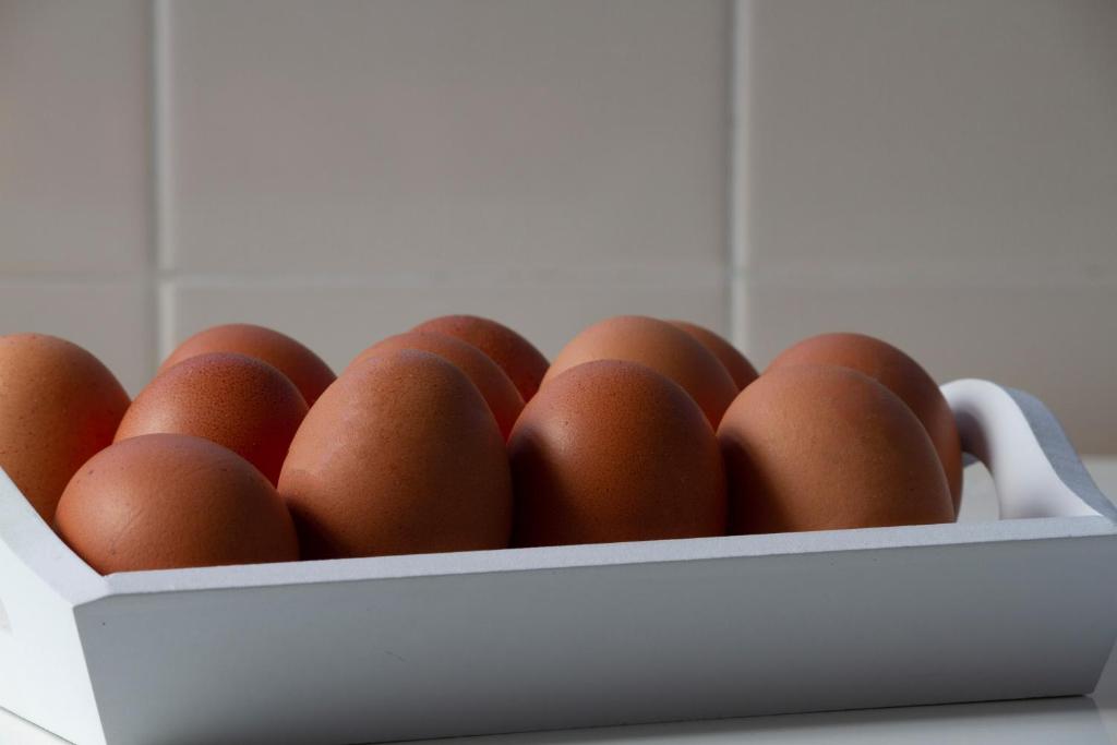 Hotel A.S. Lisboa - Resim 29