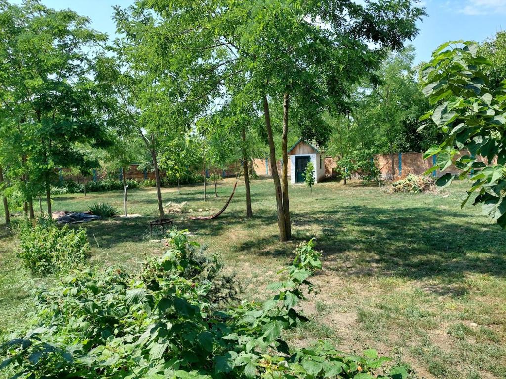 Zahrada ubytování EVA HOUSE