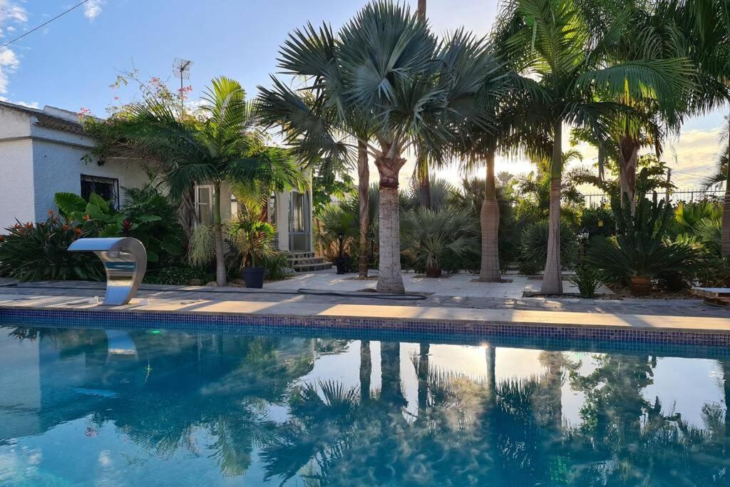 a swimming pool with palm trees next to a house at Tropical Paradise Villa in Torrevieja in Torrevieja