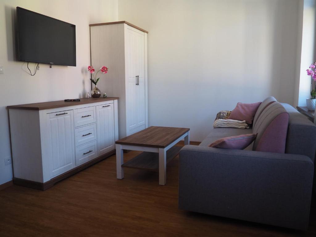 TV a/nebo společenská místnost v ubytování Apartmány Nejdek