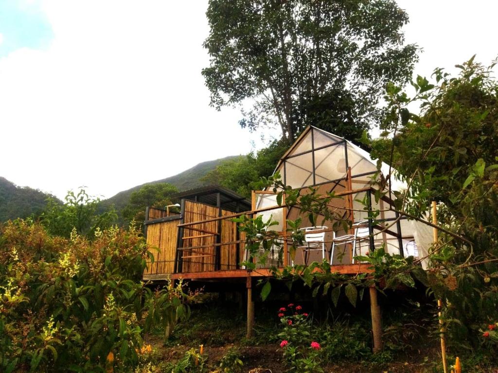une cabane dans les arbres au milieu d'une forêt dans l'établissement Ecoglamping Reserva Natural Paraíso Andino, à La Vega