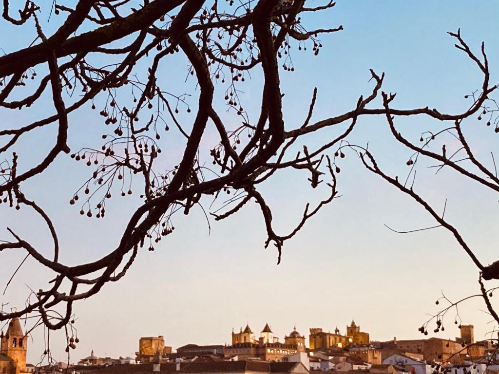 Fotografie z fotogalerie ubytování At La Conce v destinaci Cáceres
