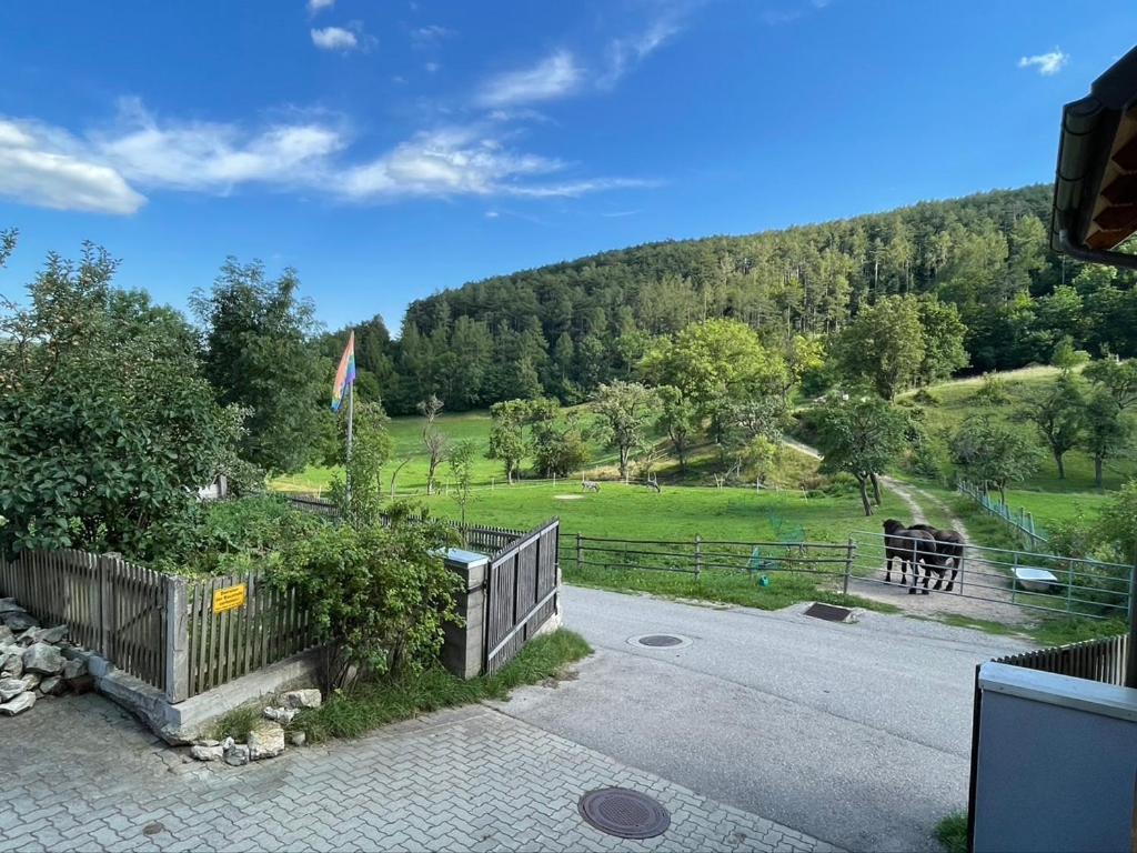 Príroda v okolí apartmánu