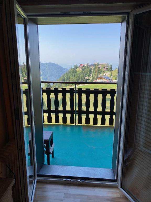 Příroda nedaleko hotelu
