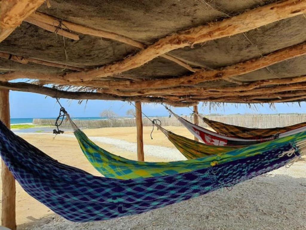 2 hamacas colgadas de una estructura de madera en una playa en Talata Hostal, en Mayapo