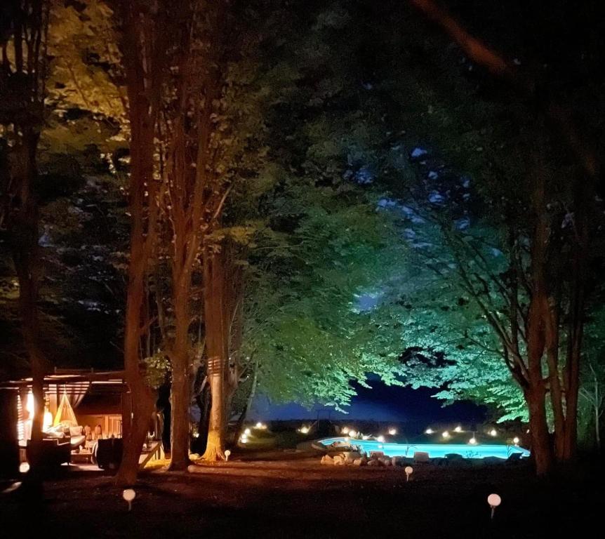 Luxury Lake House & Glamping - Villa D'une Chambre