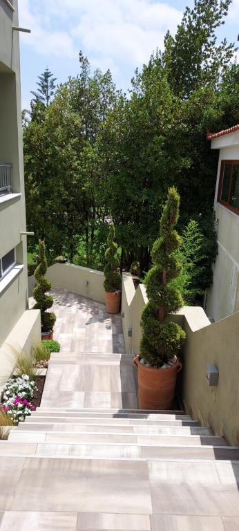 Zahrada ubytování Villa Bloom