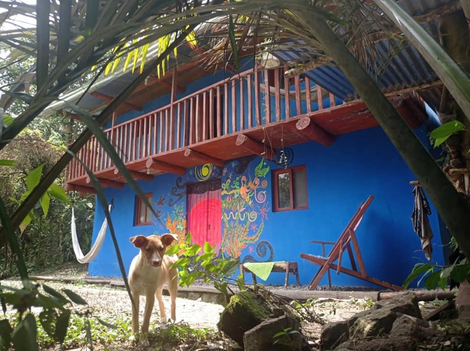 a dog standing in front of a blue house at Eco Albergue Azul in Cuispes
