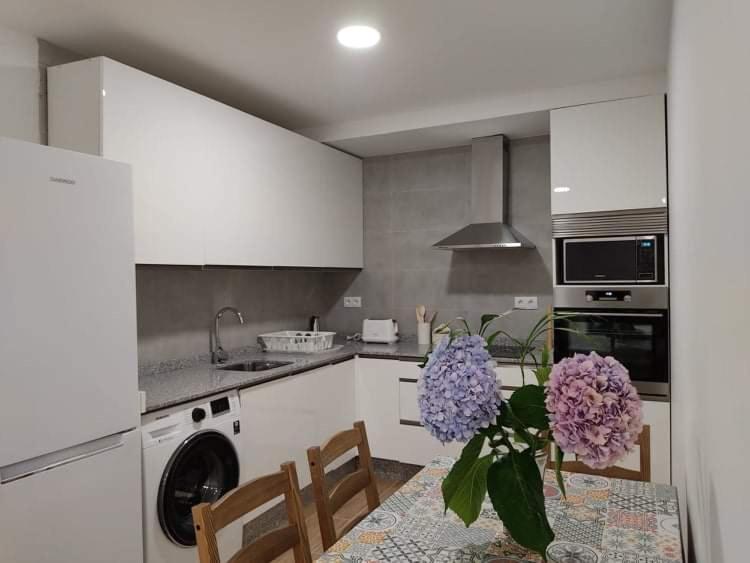 Kuchyň nebo kuchyňský kout v ubytování b Apartamentos Diego