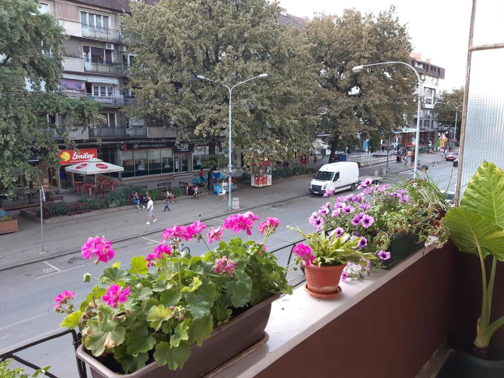 Apartman Nada - Apartamento De Una Habitación