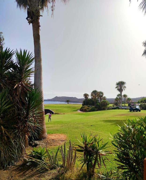 Pebble beach apartamento, Amarilla golf, San Miguel de Abona – Updated 2023  Prices