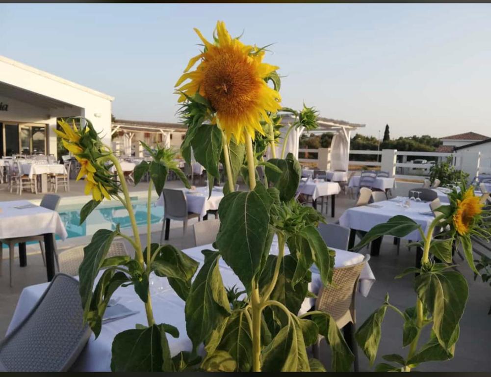 Restauracja lub miejsce do jedzenia w obiekcie Villa INN