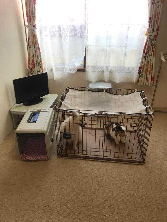 a dog in a cage in a room with a computer at STAY Akeboshi Kan in Hakodate