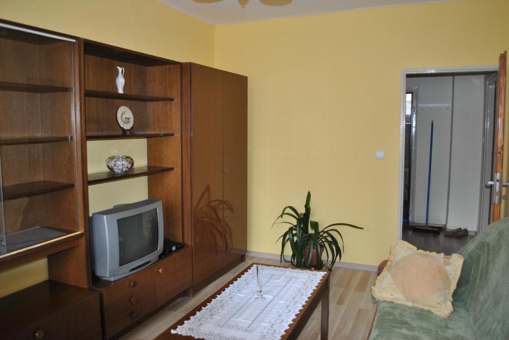 TV a/nebo společenská místnost v ubytování Apartmán Viktorie