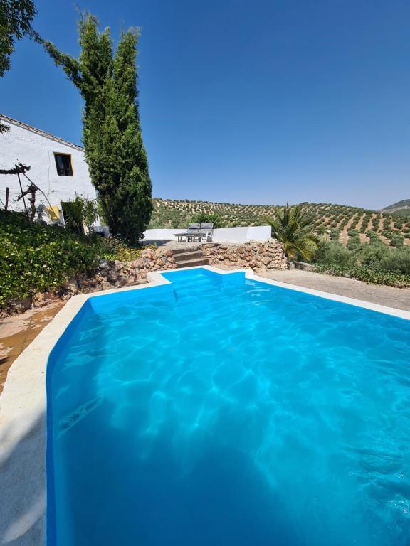 a swimming pool with blue water in a yard at Cortijo Las Rodrigas in Sabariego