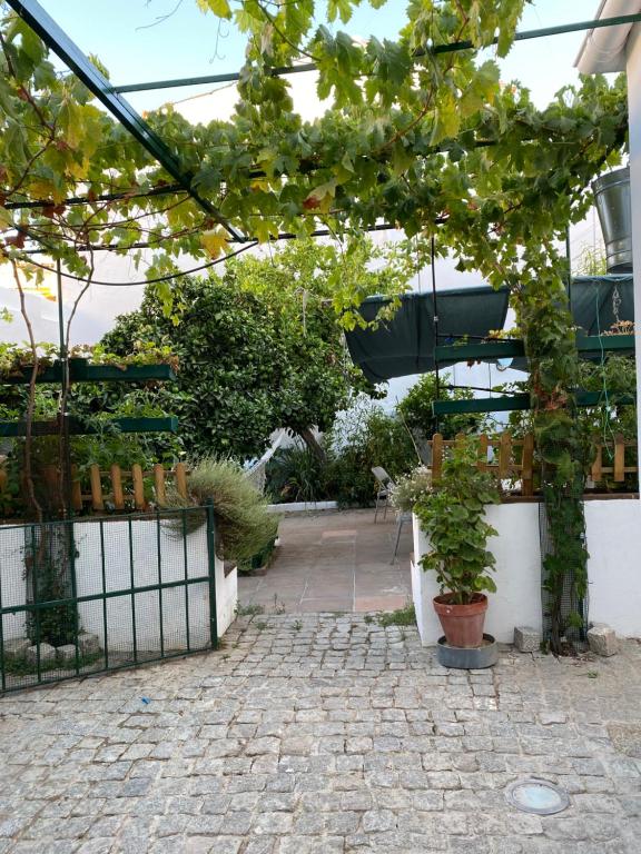 Um jardim em Casa do Menino Jesus