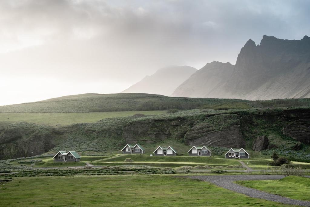 a herd of animals grazing on a lush green hillside at Vík Cottages in Vík