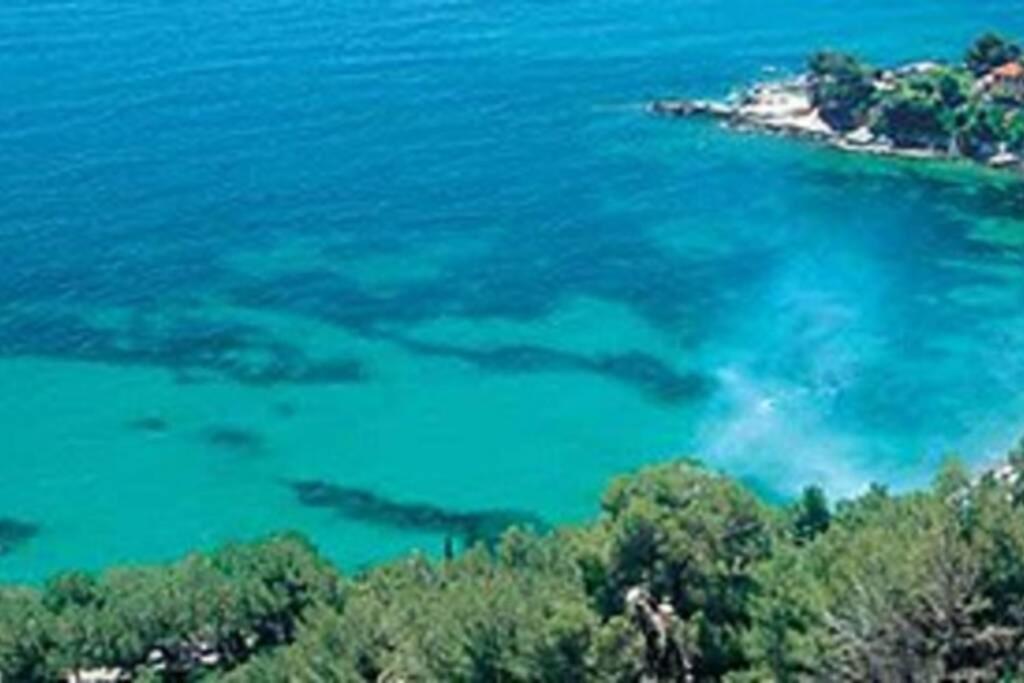 Príroda v okolí apartmánu
