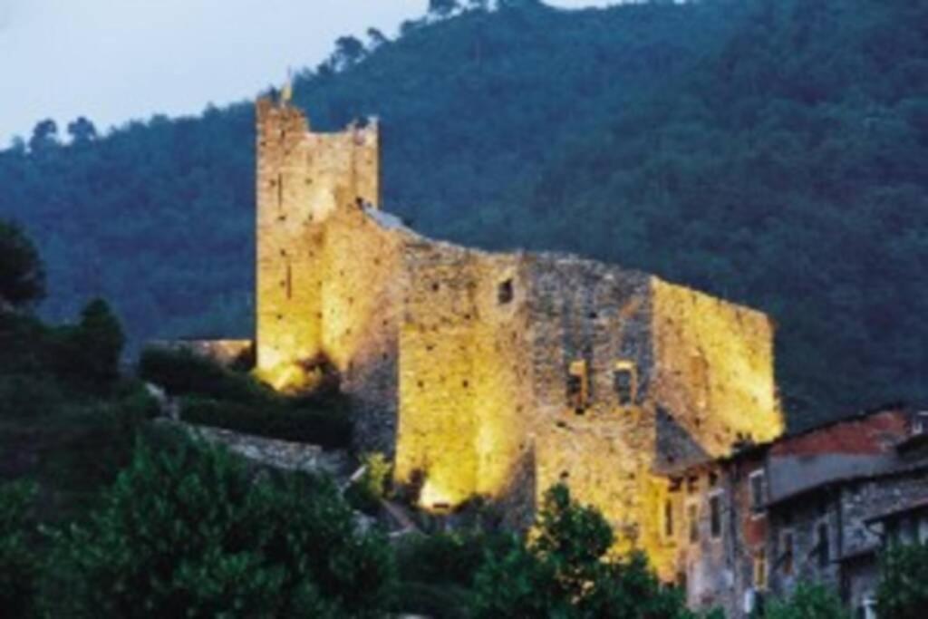 Príroda v okolí apartmánu