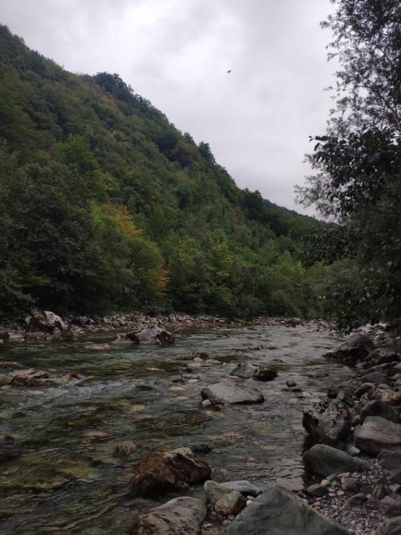 Private accommodation Kalezić - 10