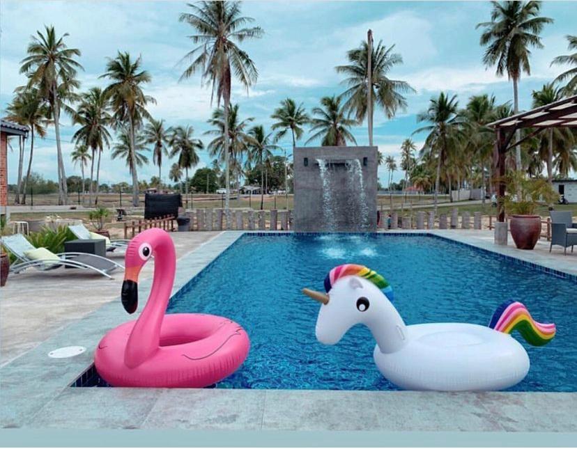 Dos cisnes rosas y blancos en una piscina en Sekepeng Penarek, en Kampung Penarik
