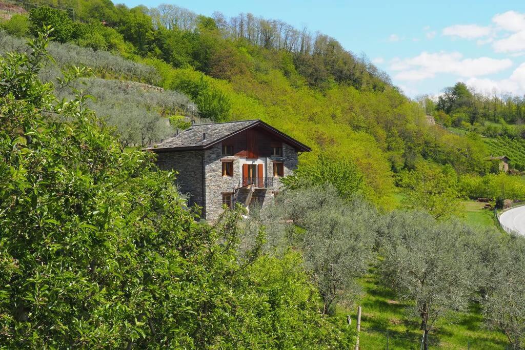 une petite maison sur le côté d'une montagne dans l'établissement fantastica villa fra le Alpi valtellinesi, à Tresivio