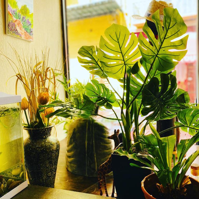 Hotel Villa La Tour - Resim 27