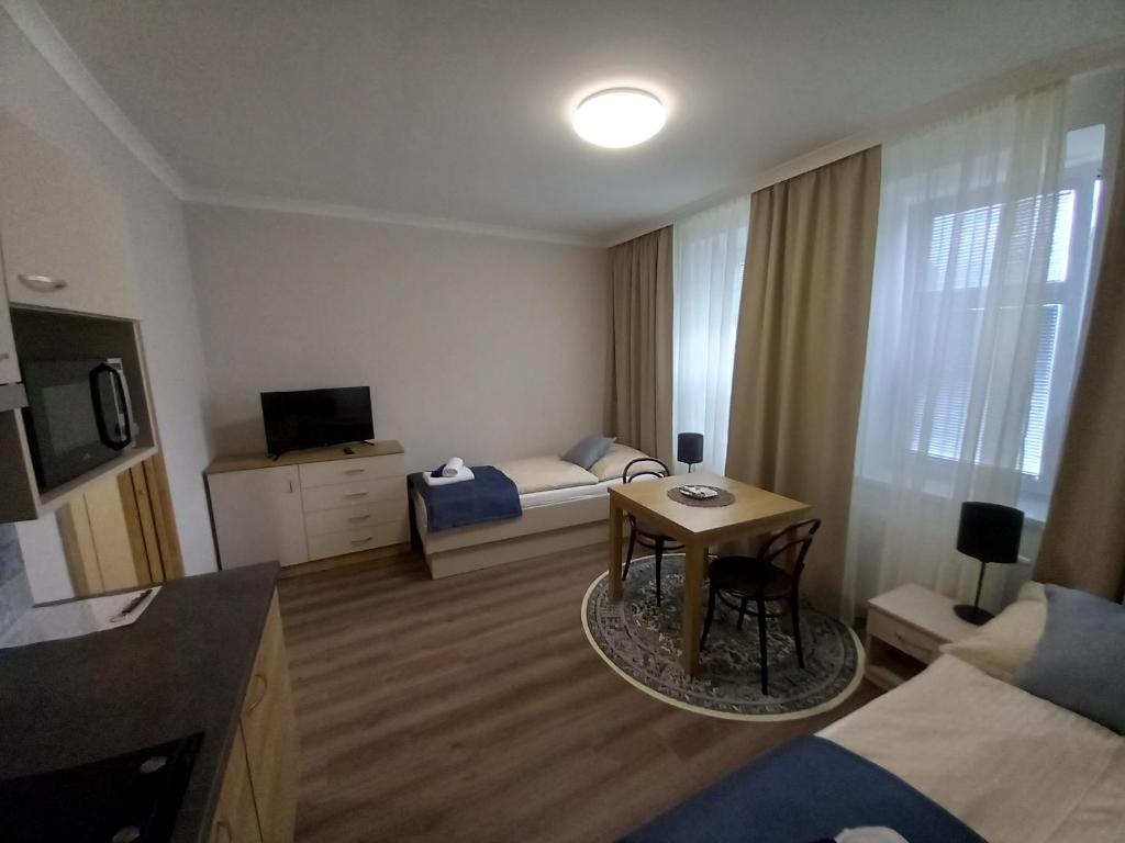 TV a/nebo společenská místnost v ubytování Penzion Vila Winter