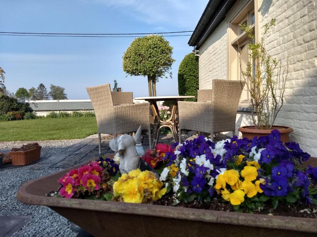 Zahrada ubytování DHofstede vakantiewoning