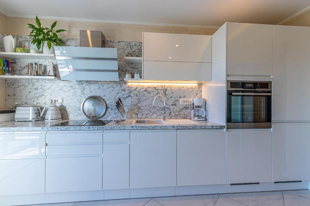 Kuchyň nebo kuchyňský kout v ubytování Apartment Rippl II