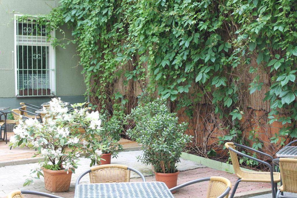 Zahrada ubytování Apartments Kolo 77