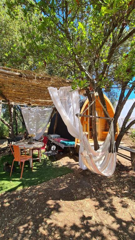 un hamac suspendu à un arbre devant une tente dans l'établissement Gîte atypique : Le Pod, à Carbuccia