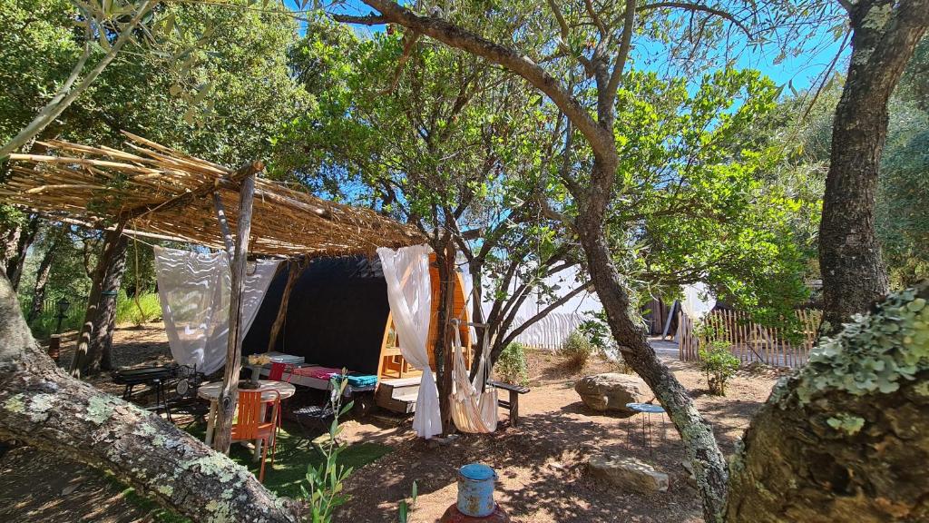 Gîte atypique Le Pod au coeur du maquis - Estudio Con Terraza