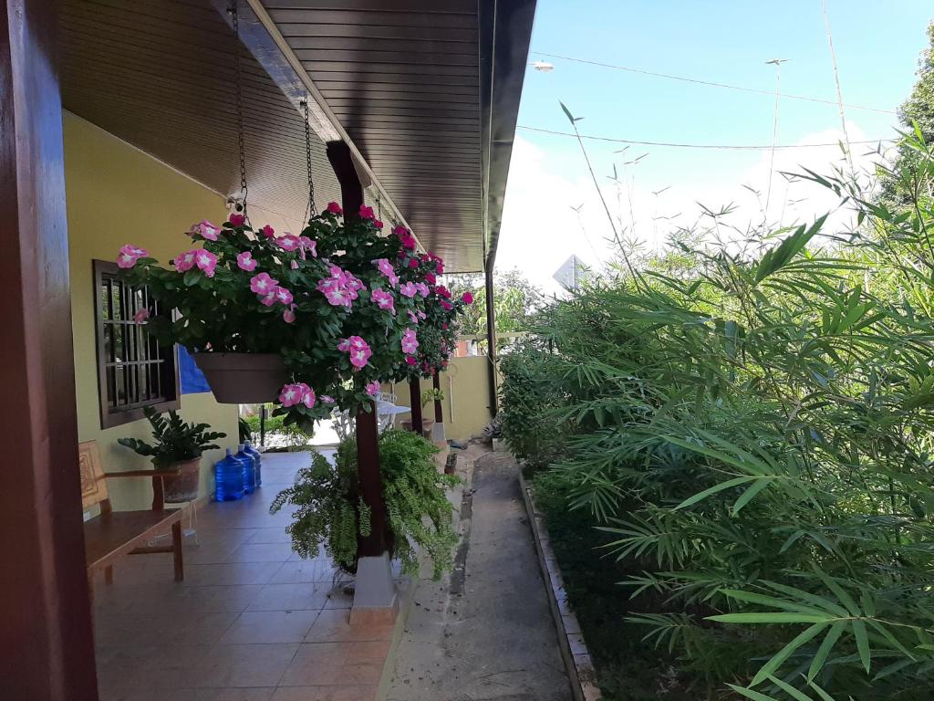 Aed väljaspool majutusasutust Bienvenidos a Guararé