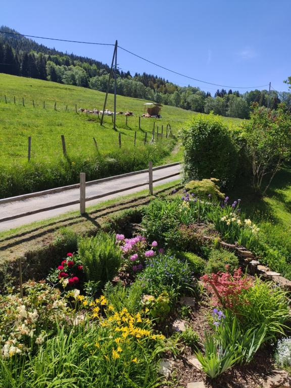Zahrada ubytování Maison Le ROZET
