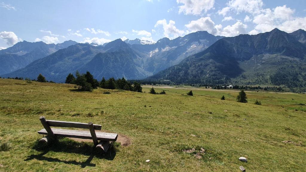 Příroda nedaleko apartmánu