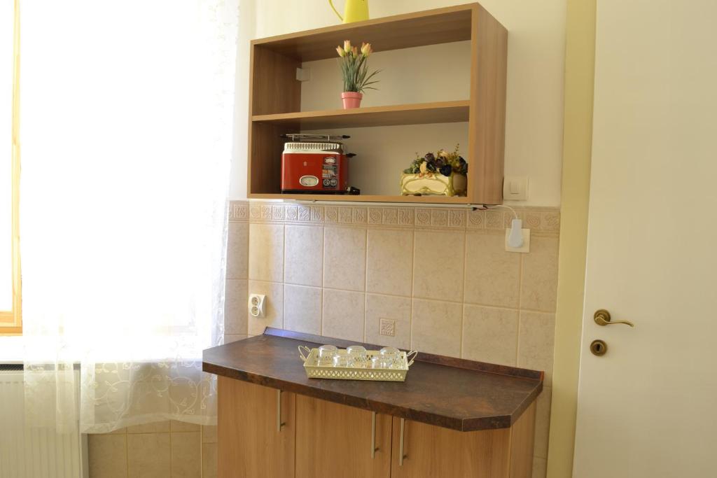 Kuchyňa alebo kuchynka v ubytovaní Paprika Apartment Grand
