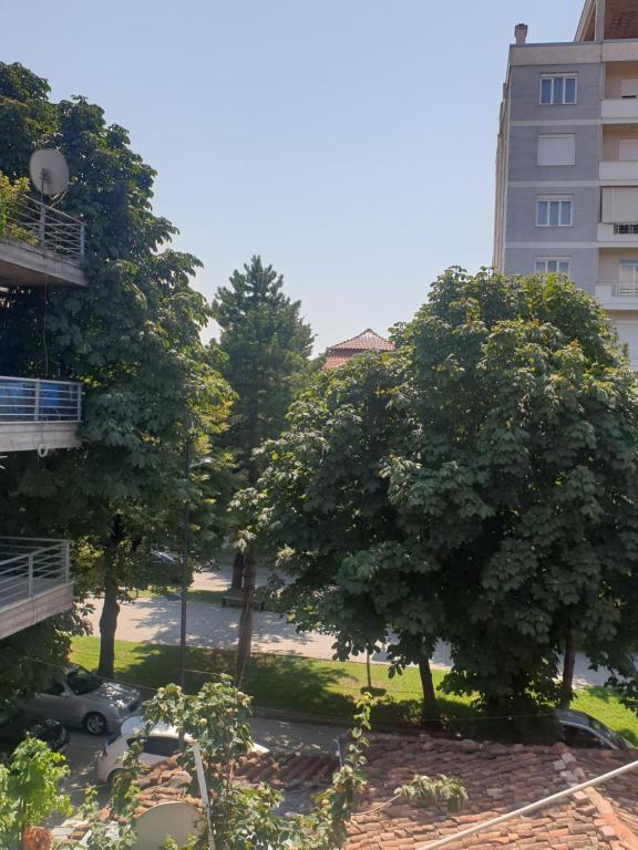Jordhani's House - Imazhi 12