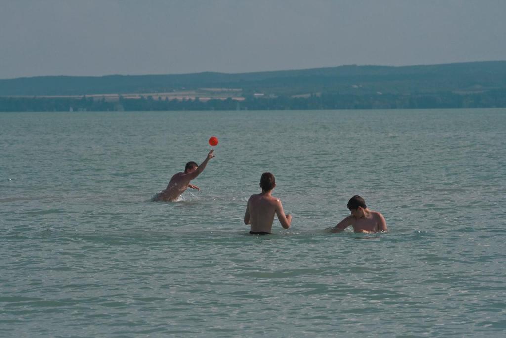 Příroda nedaleko hotelu