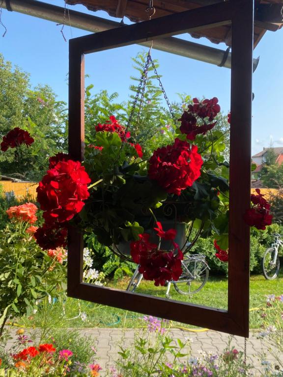 Zahrada ubytování Casa de oaspeti Anciupi Vendeghaz