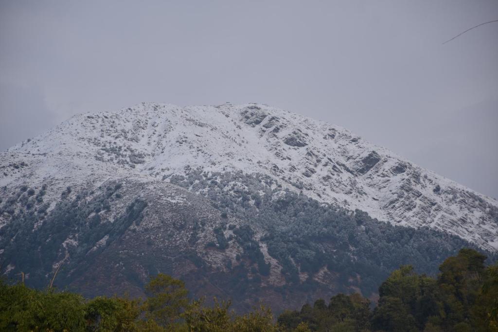 a snow covered mountain with trees in front of it at ANAVЯIN HOME STAYS in Pālampur