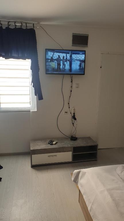TV a/nebo společenská místnost v ubytování Apartman Sava