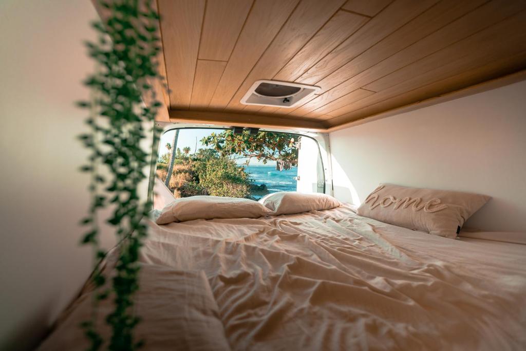 聖胡安的住宿－Vive La Van，窗户客房中间的一张床位