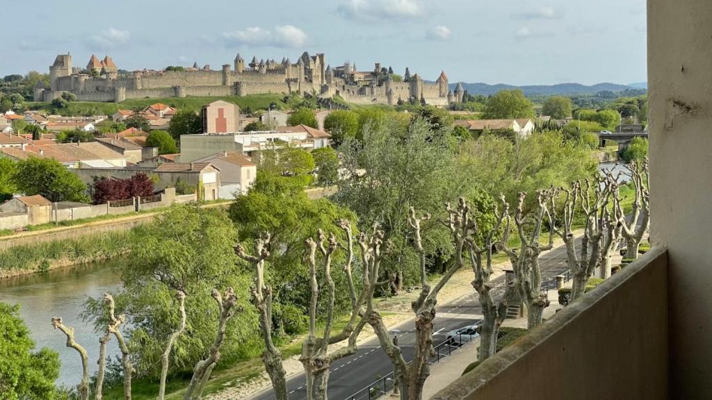 uma vista para uma cidade com um rio e árvores em L’alsace em Carcassonne