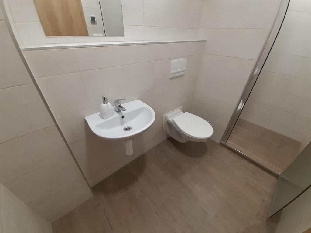 Vannituba majutusasutuses Valen apartmány Valtice