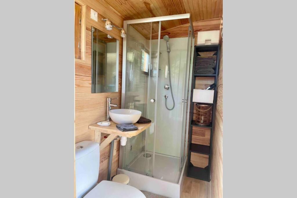 a bathroom with a shower and a toilet and a sink at La Galipette, charmant chalet en Champagne in Fleury-la-Rivière
