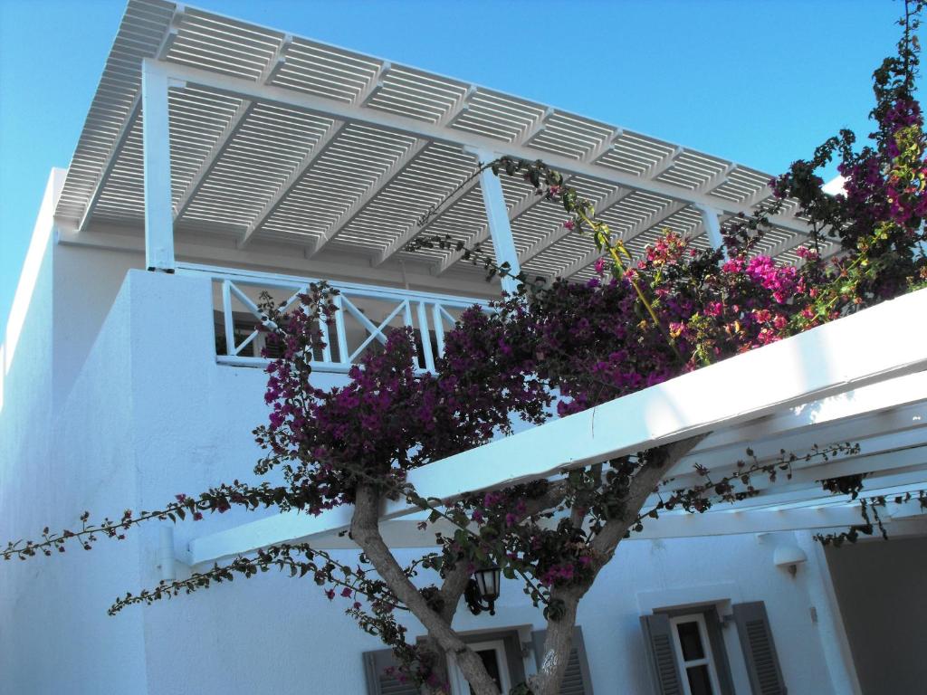 Milos Bay Suites - 12