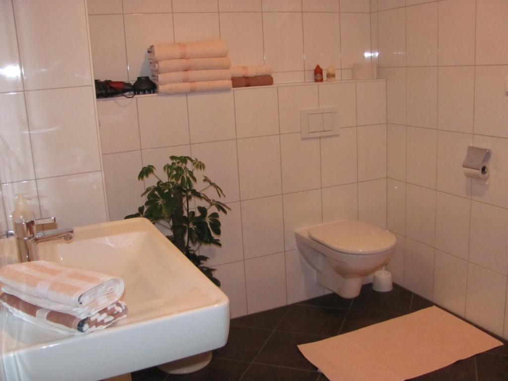 Koupelna v ubytování Wanishof