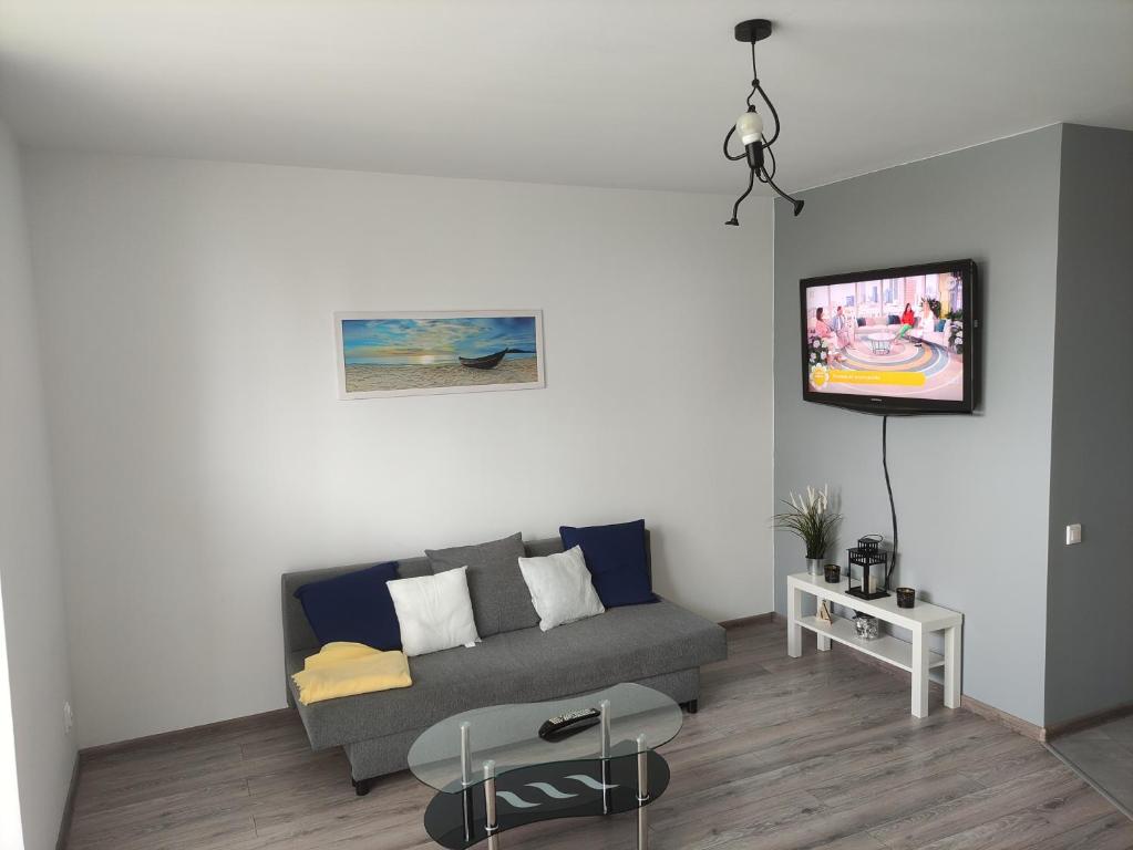 sala de estar con sofá y TV en Apartament FILO en Pogórze