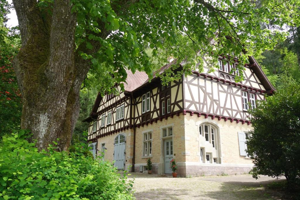 une vieille maison avec un arbre en face dans l'établissement Bed & Breakfast Grünes Gold am Leisberg, à Baden-Baden